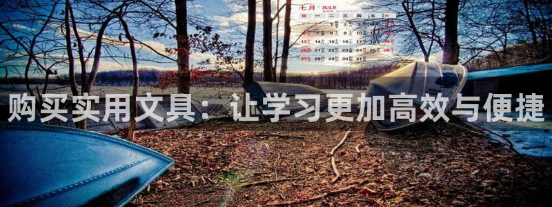 舊版九游會(huì)入口：購(gòu)買實(shí)用文具：讓學(xué)習(xí)更加