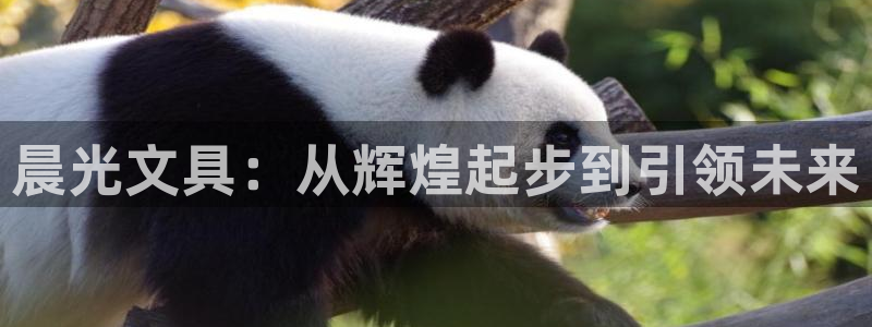 ag九游會(huì)官方登陸：晨光文具：從輝煌起步