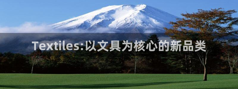 ah九游會(huì)：Textiles:以文具為核