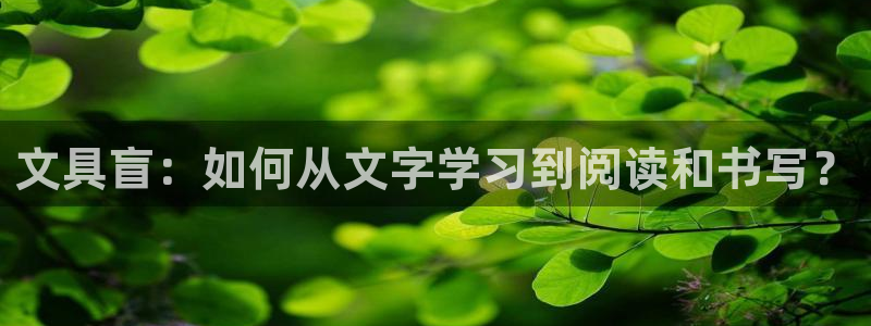ag九游會(huì)網(wǎng)址大全：文具盲：如何從文字學(xué)