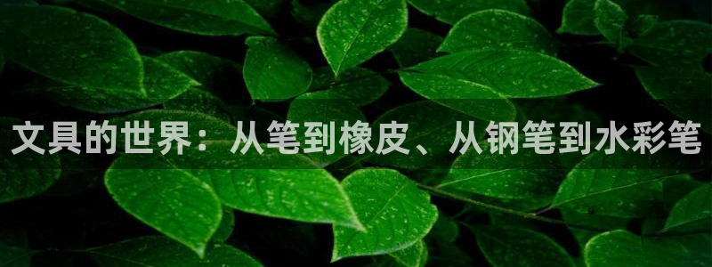 九游游樂(lè)會(huì)：文具的世界：從筆到橡皮、從鋼