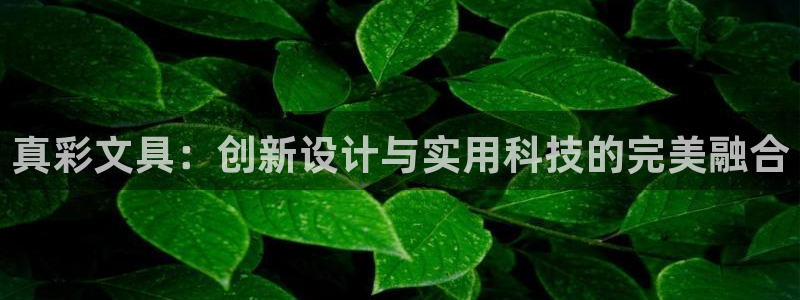 九游會登錄最強版本答案：真彩文具：創(chuàng)新設(shè)