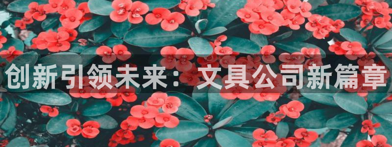AG更名九游會(huì)：創(chuàng)新引領(lǐng)未來(lái)：文具公司新